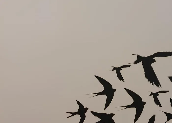 Casa Do Castelo 1- Work Or Relax In The Historic Heart Of Lisbon! * ליסבון